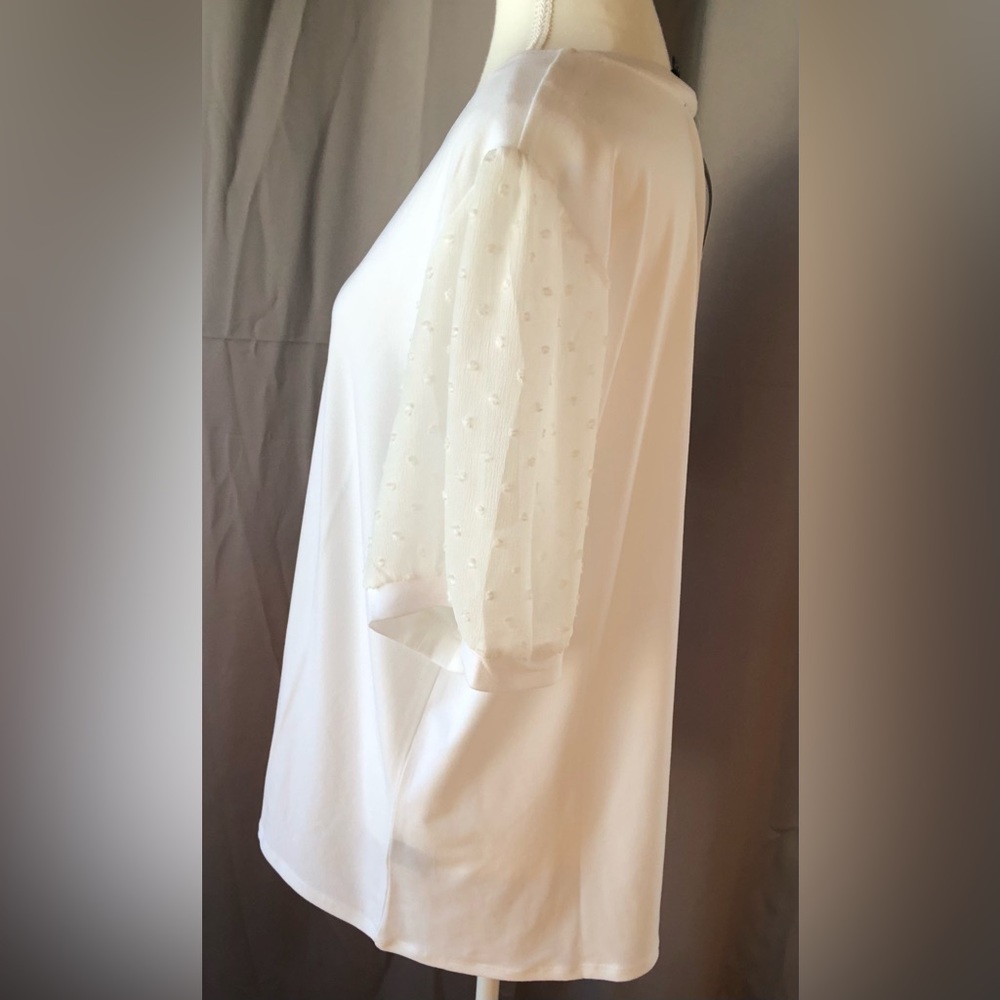 Premise Swiss Dot Puff Sleeve Top 🤍 - Picture 5 of 10